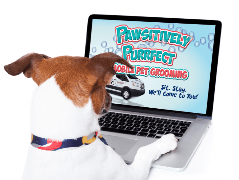 Services | Pawsitively Purrfect Mobile Pet Grooming