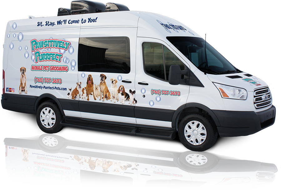 Pet grooming 2024 van service